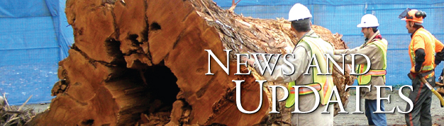 News and Updates