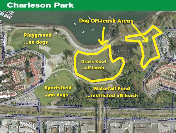 Dog Off-leash Area