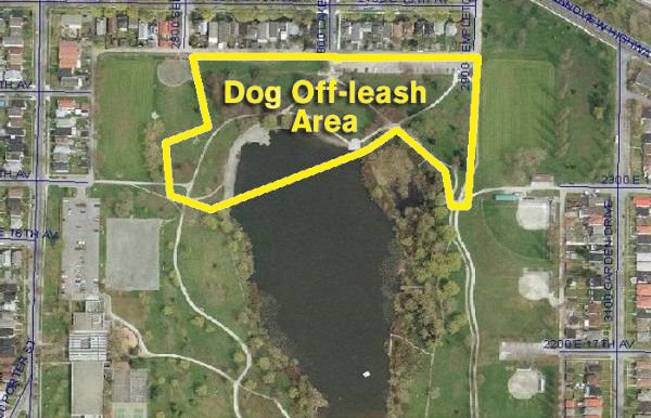 Dog Off-leash Area