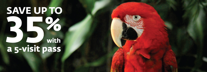 Save up to 35% on a 5 visit pass Save up to 35% on a 5 visit pass