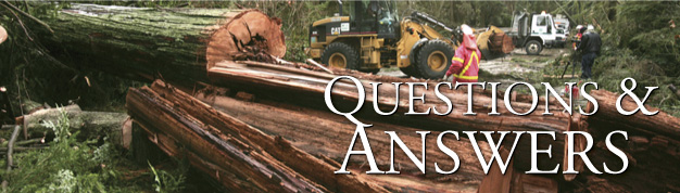 Questions & Answers