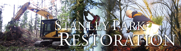 Stanley Park Restoration