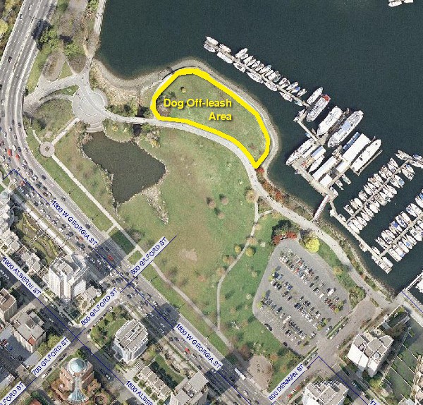Dog Off-leash Area