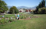 Falaise Park Wetland Garden