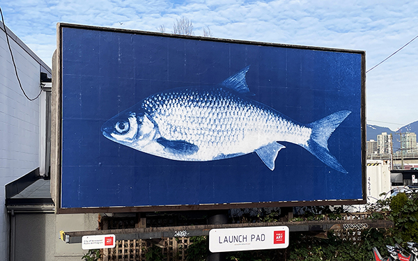 Noor Ghazal's Samaka on a billboard for Launch Pad 2025. Image by City of Vancouver.