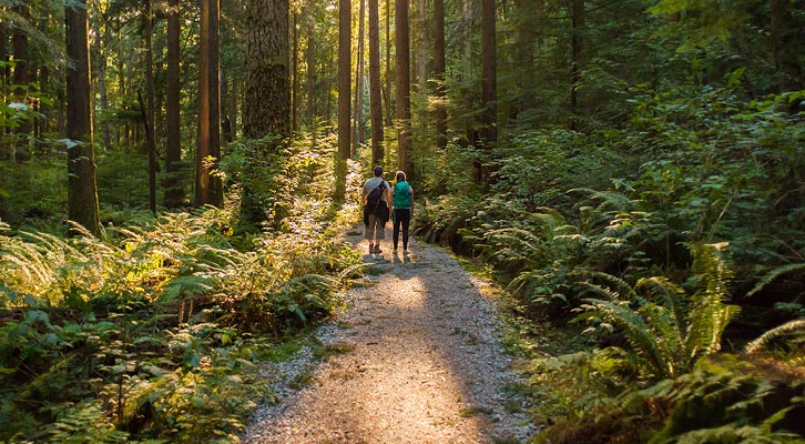 People walking along a trail in a wooded area