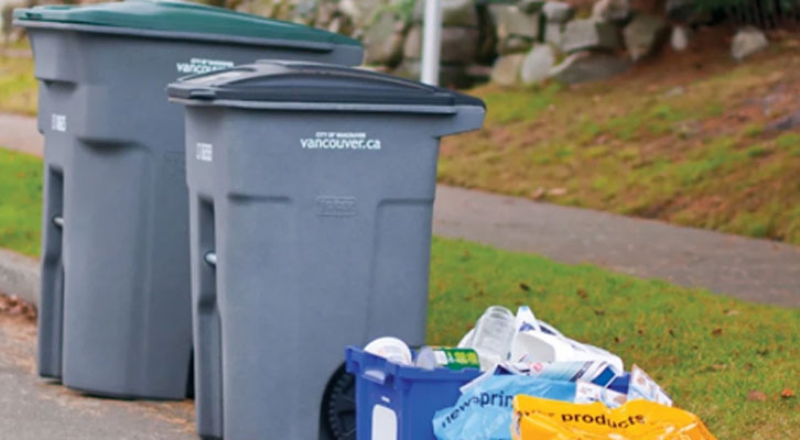 Green and garbage bins and recycling