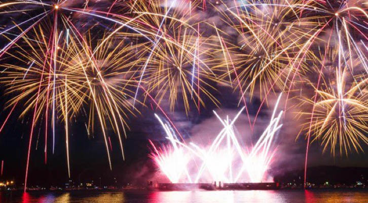 Fireworks in night sky