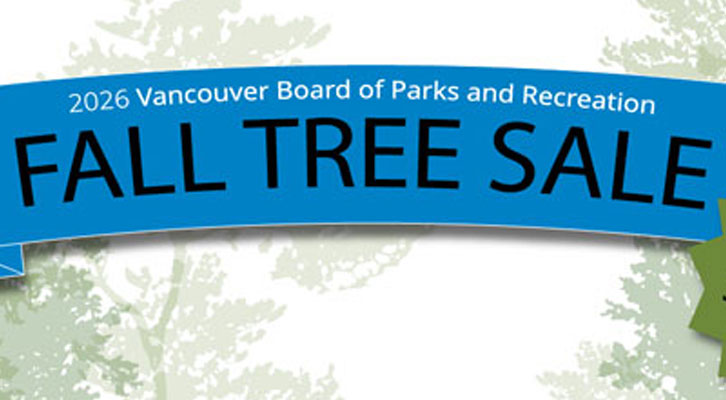 Fall tree sale 