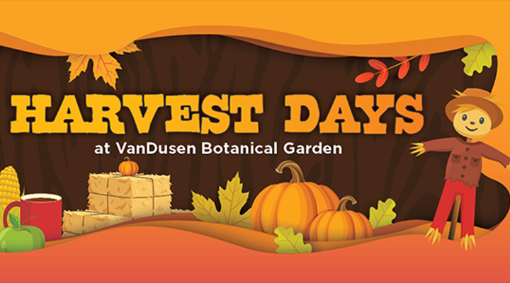 Harvest Days at VanDusen Botanical Garden