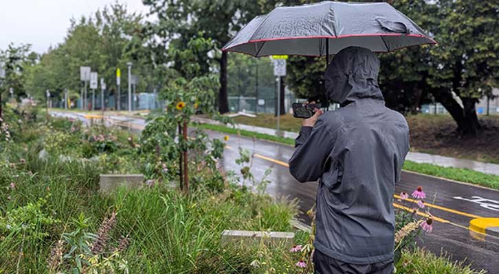 Person taking a picture of a rain garden in the rain