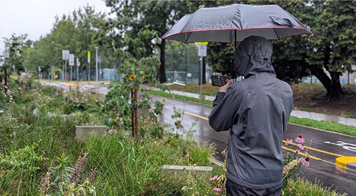 Person holding an umbrella taking a photo of a rain garden in the rain