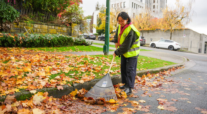 Person raking leaves away from a catch basin
