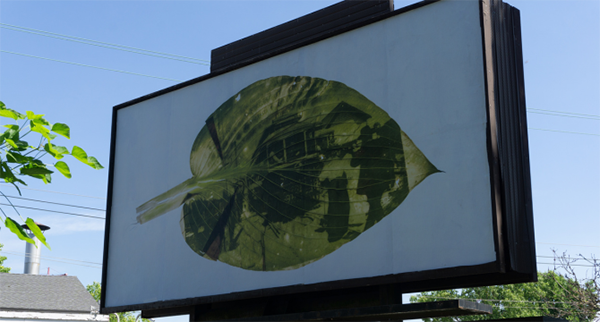 Cat Hart's Progress on a billboard