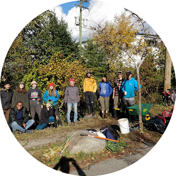 Cornett Meadow and Still Moon Arts Society