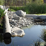 A stream lined with rocks