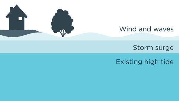 a hill with a house and a tree at the top above a body of water marked with layers showing existing high tide, storm surge, and wind and waves.