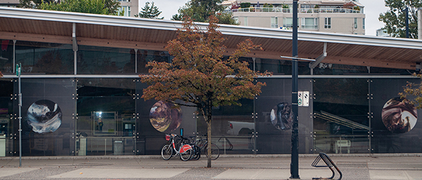 Artwork titled There We Would Now Have Been by Deborah Edmeades, displayed on the glass wall at Olympic Village Station.
