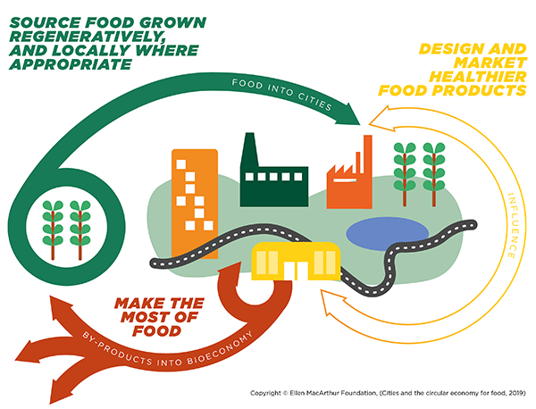 Illustration, copyright of the Ellen MacArthur Foundation, showing a circular food system with 3 key steps: (1) Source food grown regeneratively and locally where appropriate; (2) Design and market healthier food products; (3) Make the most of food.