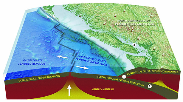 West Coast Earthquake Fault Lines