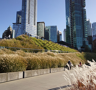 Green roof at the Vancouver Convention Centre