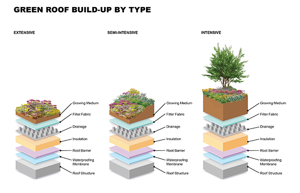 Types of green roof infographic