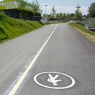 Pedestrian and cycling trails with grass on both sides