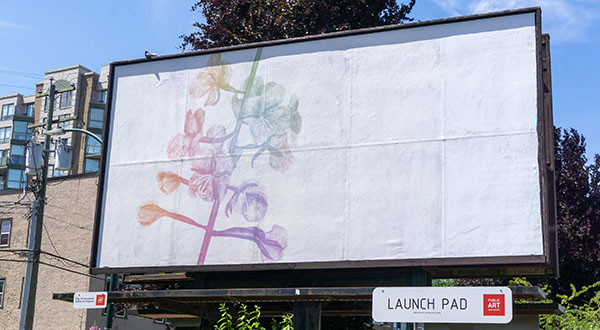 Artist Makena Imthorn artwork "Fireweed", a multi-coloured flower, on a billboard