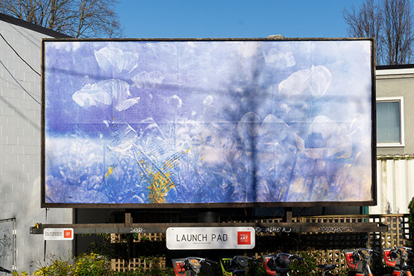 Billboard featuring Morgan Sears-Williams artwork Poppies for the Launch Pad program