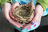 Support free, skill-sharing programs that foster empathy for the natural environment in urban spaces
