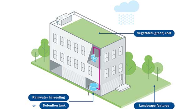 Building showing a green roof, detention tank, and landscaping