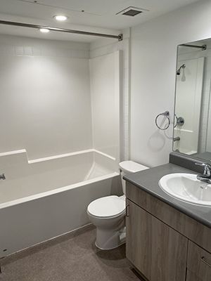 Roddan Lodge 1 bedroom bathroom