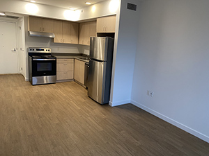 Roddan 1 bedroom kitchen