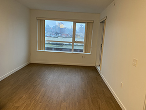 Roddan Lodge 1 bedroom living room