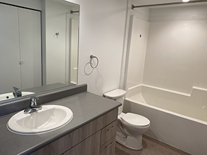 Roddan Lodge 1 bedroom bathroom