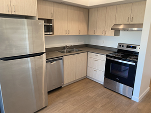 Roddan Lodge 1 bedroom kitchen