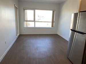 Roddan Lodge 1 bedroom living room