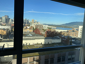Roddan Lodge 1 bedroom view from window 