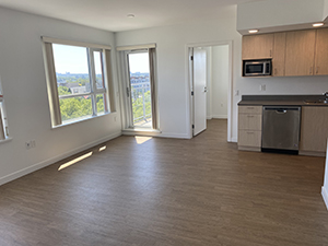 Roddan Lodge 2 bedroom living room