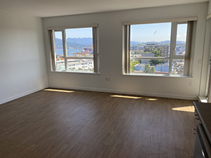 Roddan Lodge 2 bedroom view