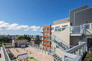 Roddan Lodge roof top garden