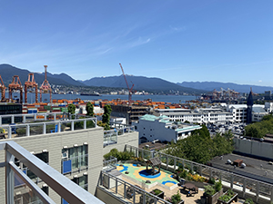 Roddan Lodge mountain view