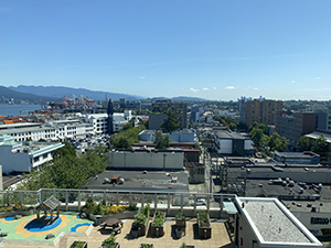 Roddan Lodge view of rooftop