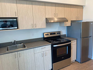 Roddan Lodge studio kitchen