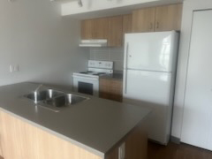 Seymour Residence 1 bedroom suite kitchen