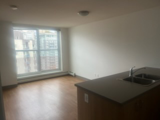 Seymour Residence 1 bedroom suite living room