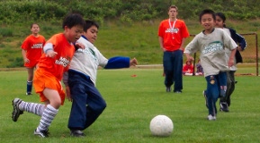 A group of children playing soccer
