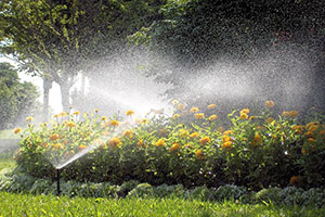 A automated sprinkler system watering flowers in a garden