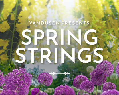 Spring Strings event poster featuring purple flowers from VanDusen Gardens