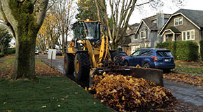 Street cleaning tractor pushing leaves along the side of the road